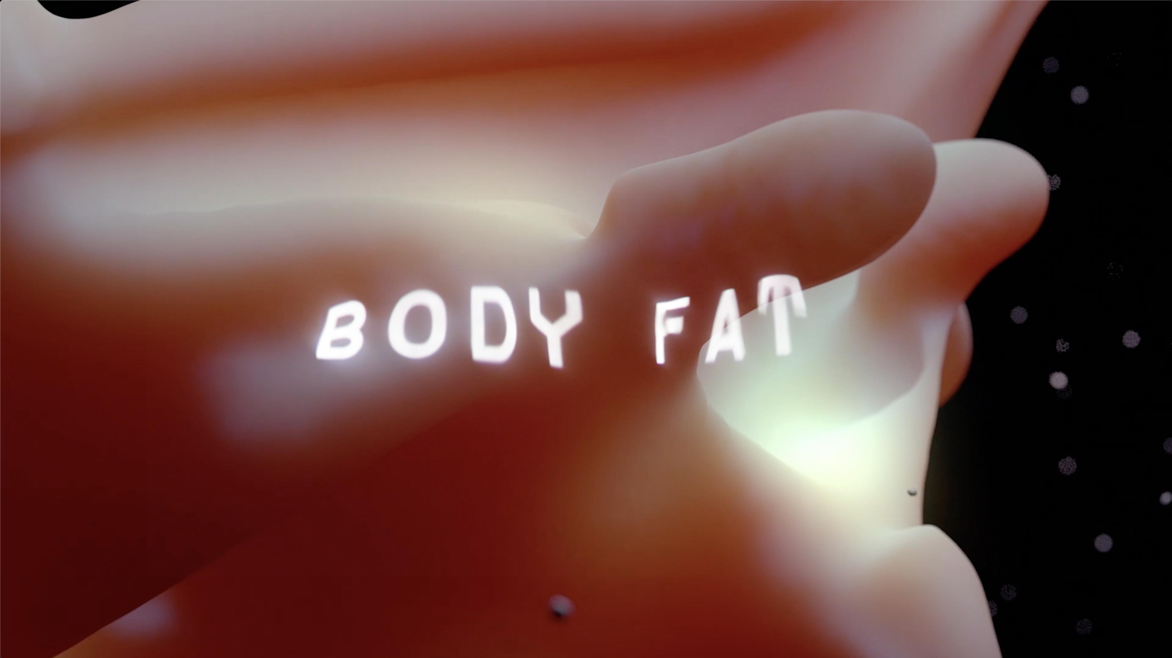 How to Dress Well - Body Fat